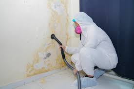 Reliable Buies Creek, NC Mold Removal & Remediation Solutions